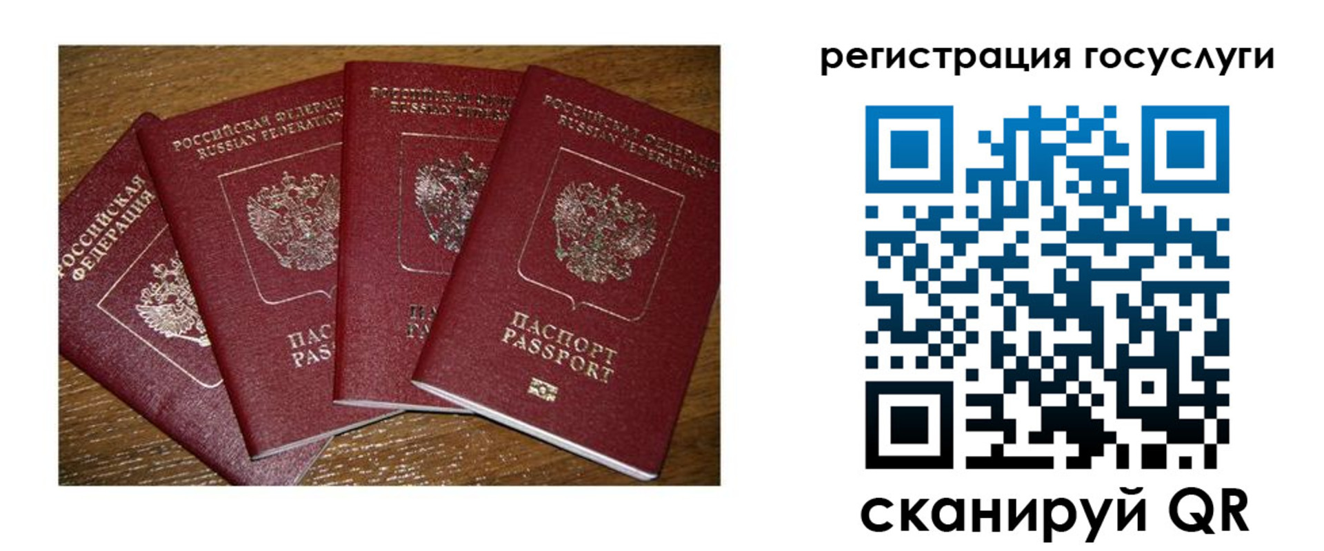 временная регистрация гарантия в Воронежской области
